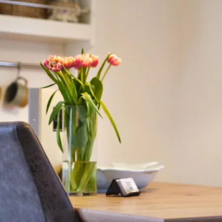 Апартаменты Surf Bude