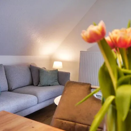 Surf Bude Appartement *