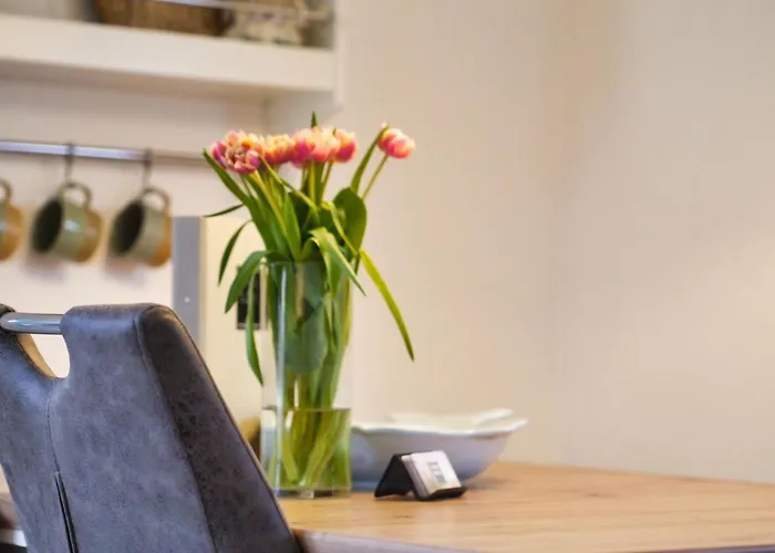 Appartement Surf Bude